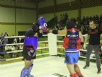 Muay thai movimentam o fim de semana no Rincão