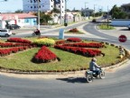 Flores anunciam a primavera no Balneário Rincão